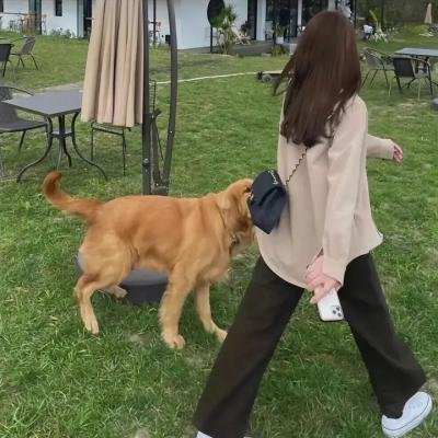 三剑客新传